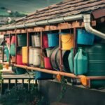 A DIY rainwater collection system made with buckets, barrels, and a downspout.