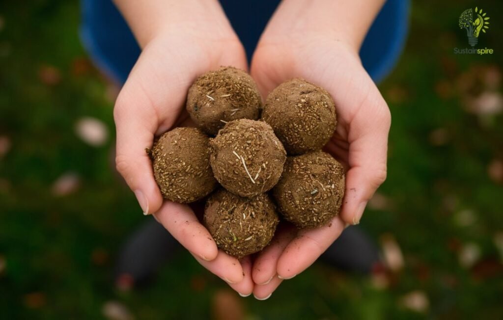 Hands holding a collection of seed balls.